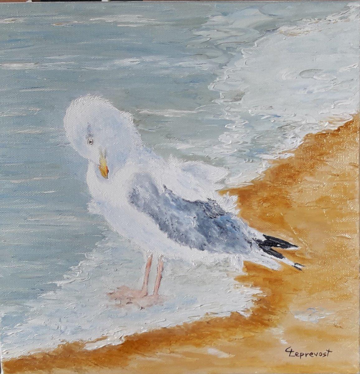 GOELAND, PATTES DANS L'EAU (30X30)