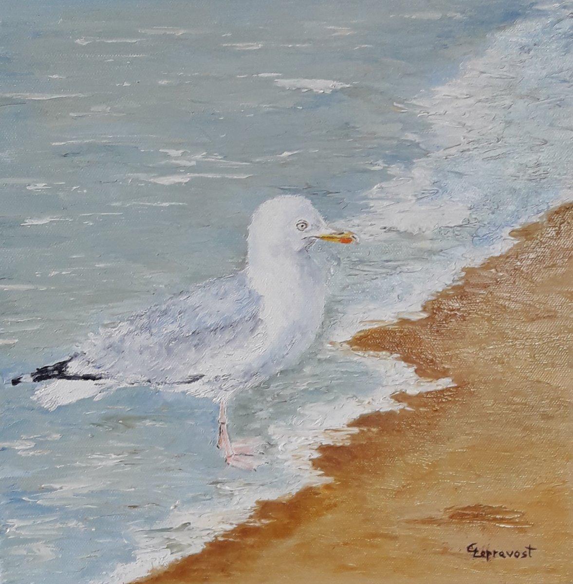 GOELAND, PATTES DANS L'EAU (30X30)