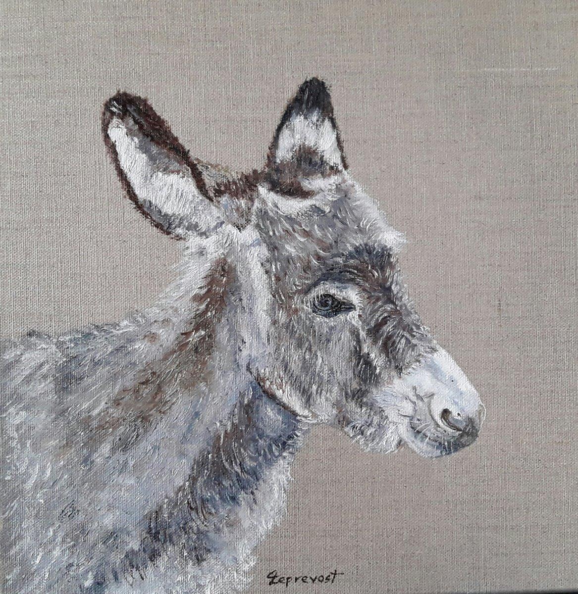 ANE DE PROFIL (30X30)