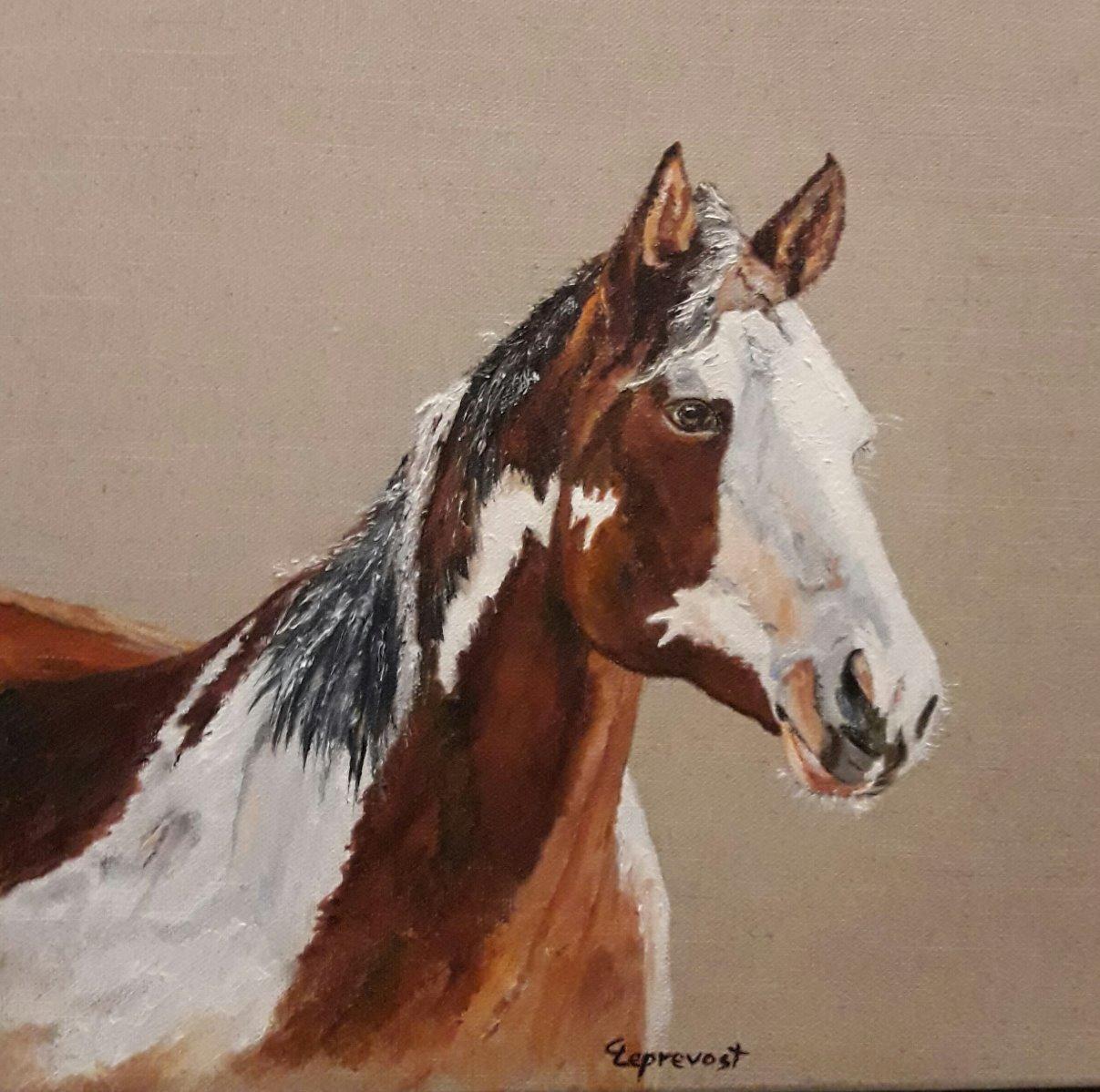 CHEVAL DE PROFIL (30X30)