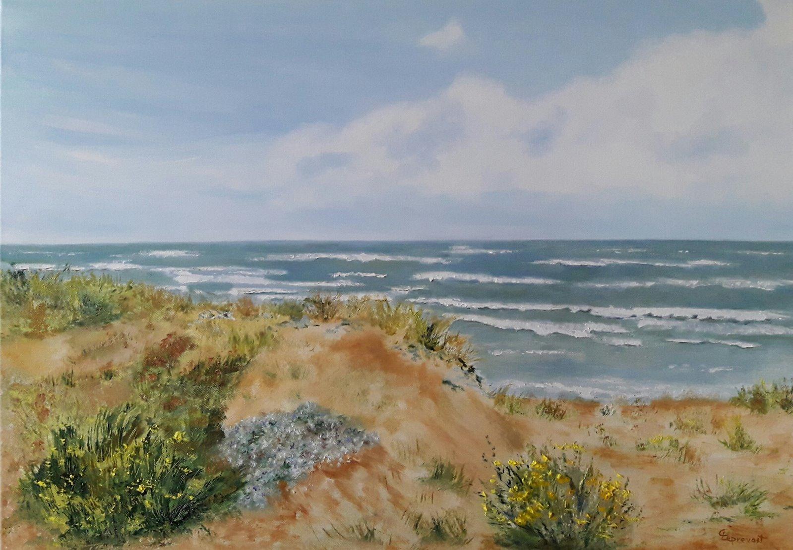 POINTE DE CABOURG : BRISE EN BORD DE MER (50 X70)
