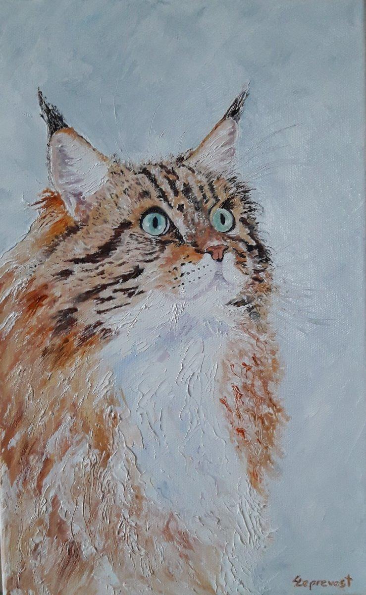 CHAT : DROIT DANS LES YEUX (35X22)