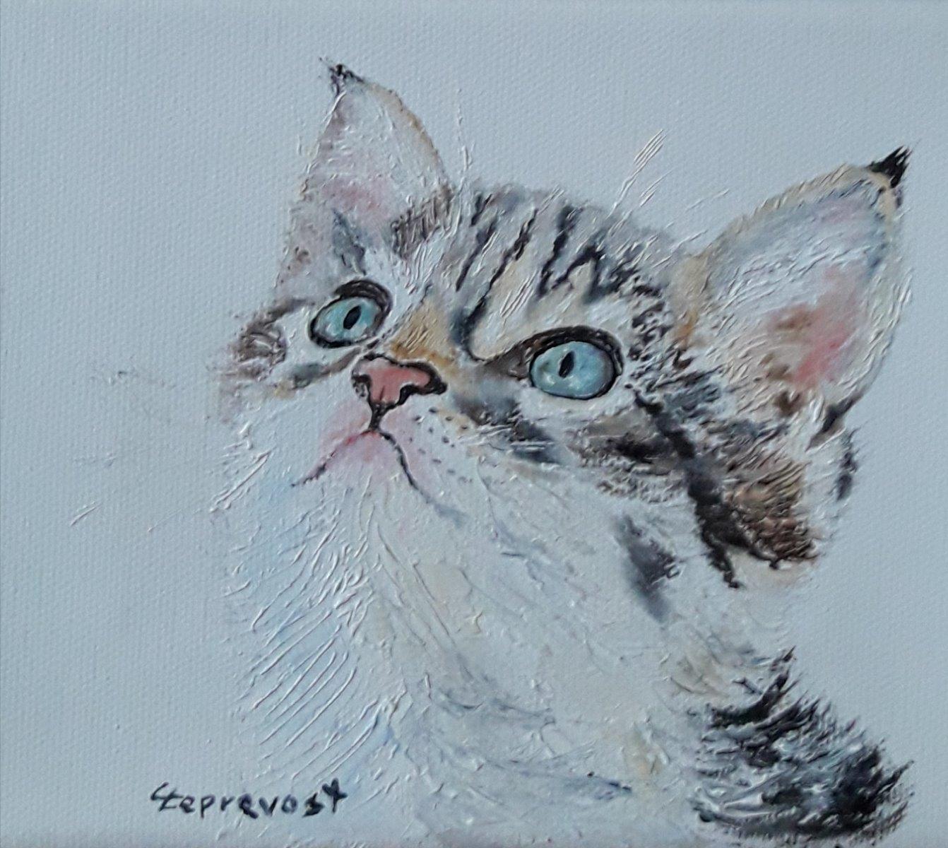 CHATON AU DOUX REGARD (18X14)