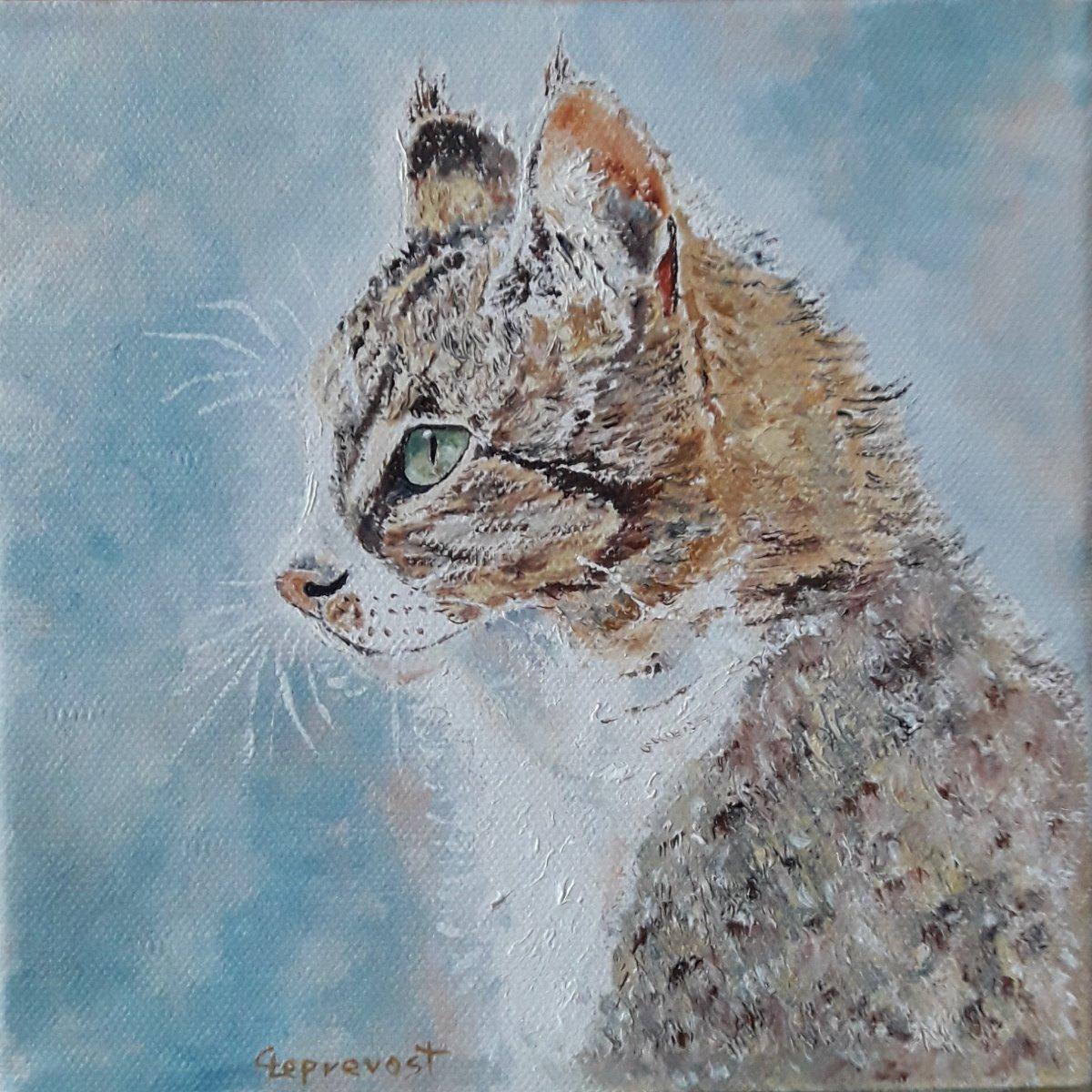 CHAT DE PROFIL (20X20)