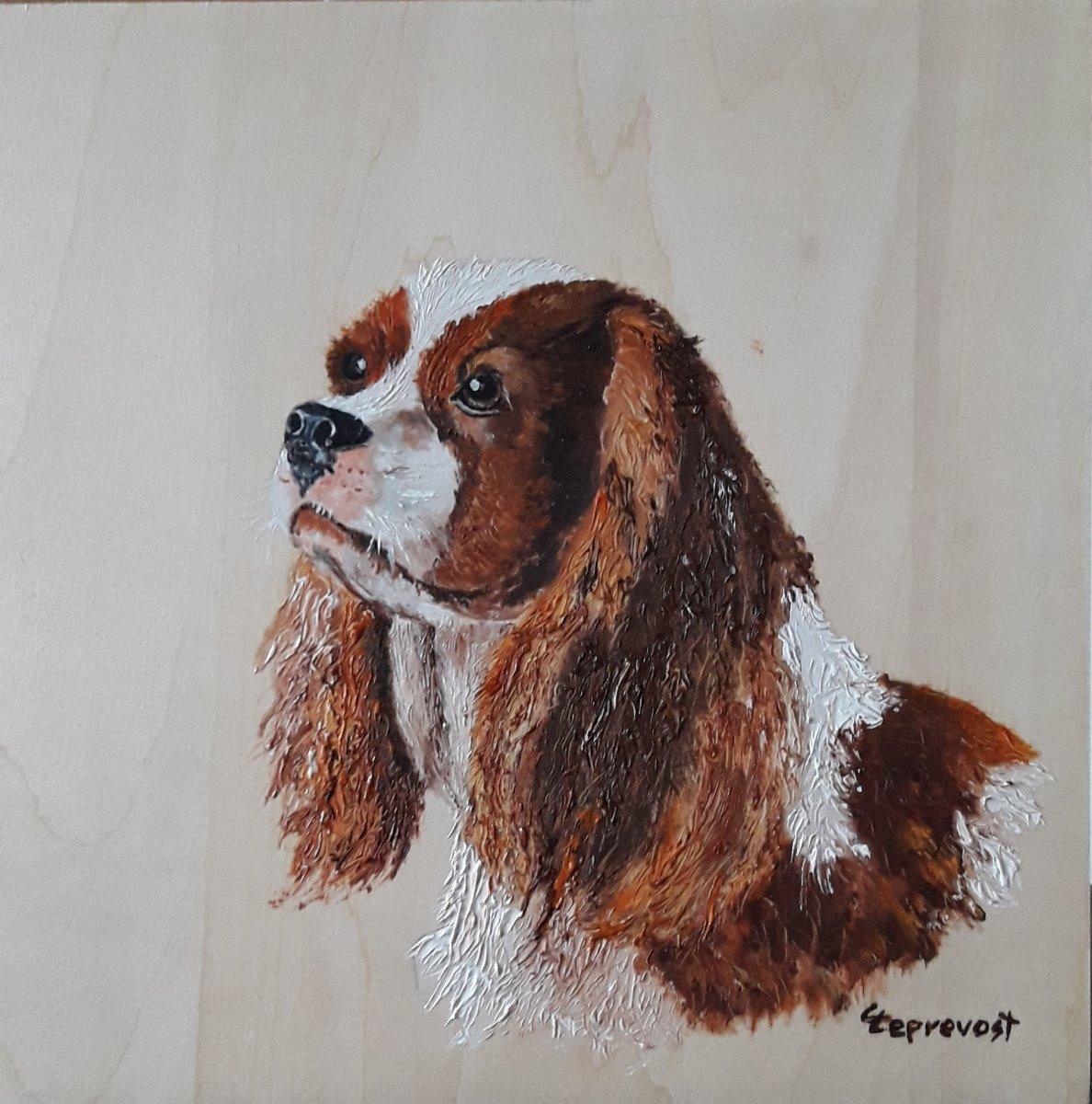 CAVALIER KING CHARLES (20X20) sur bois (tintoretto)