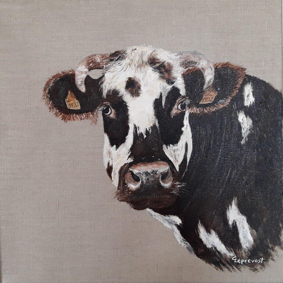 VACHE NORMANDE, MATRICULE 1932 (40X40)