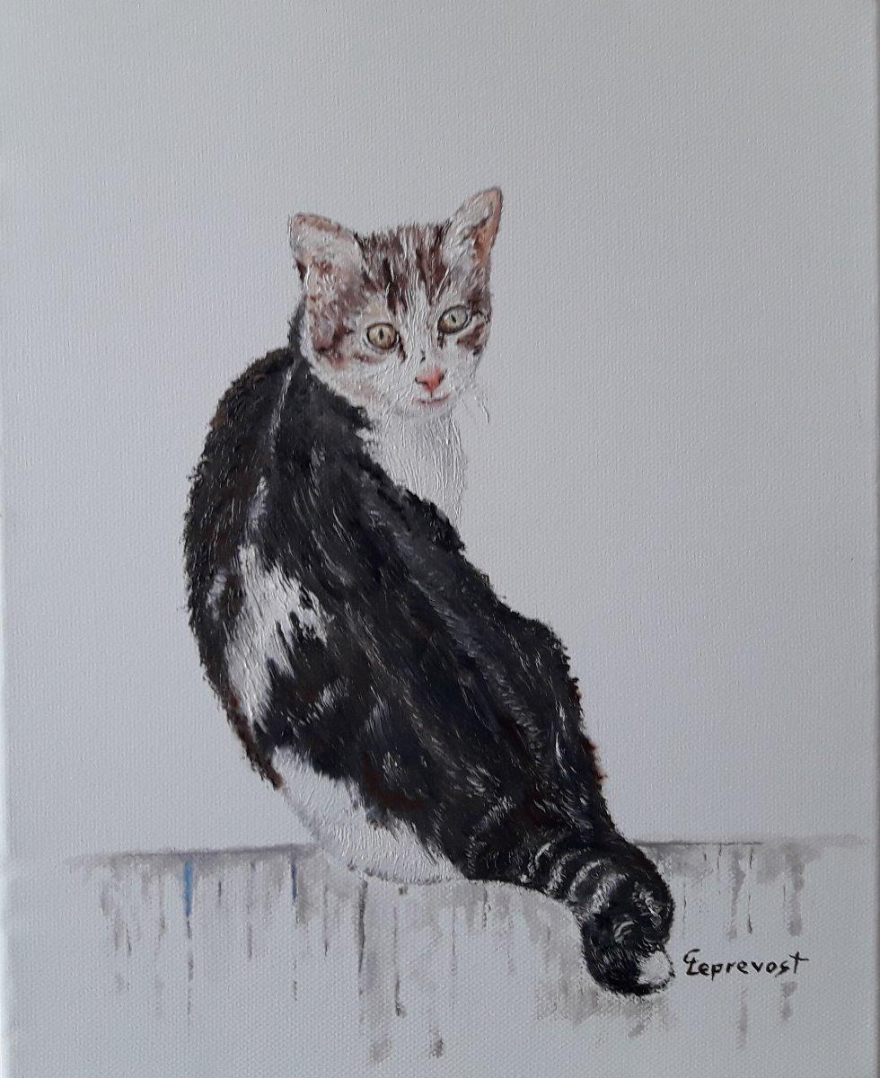 DOUCE MINETTE : COUCOU, C'EST MOI (24X30)