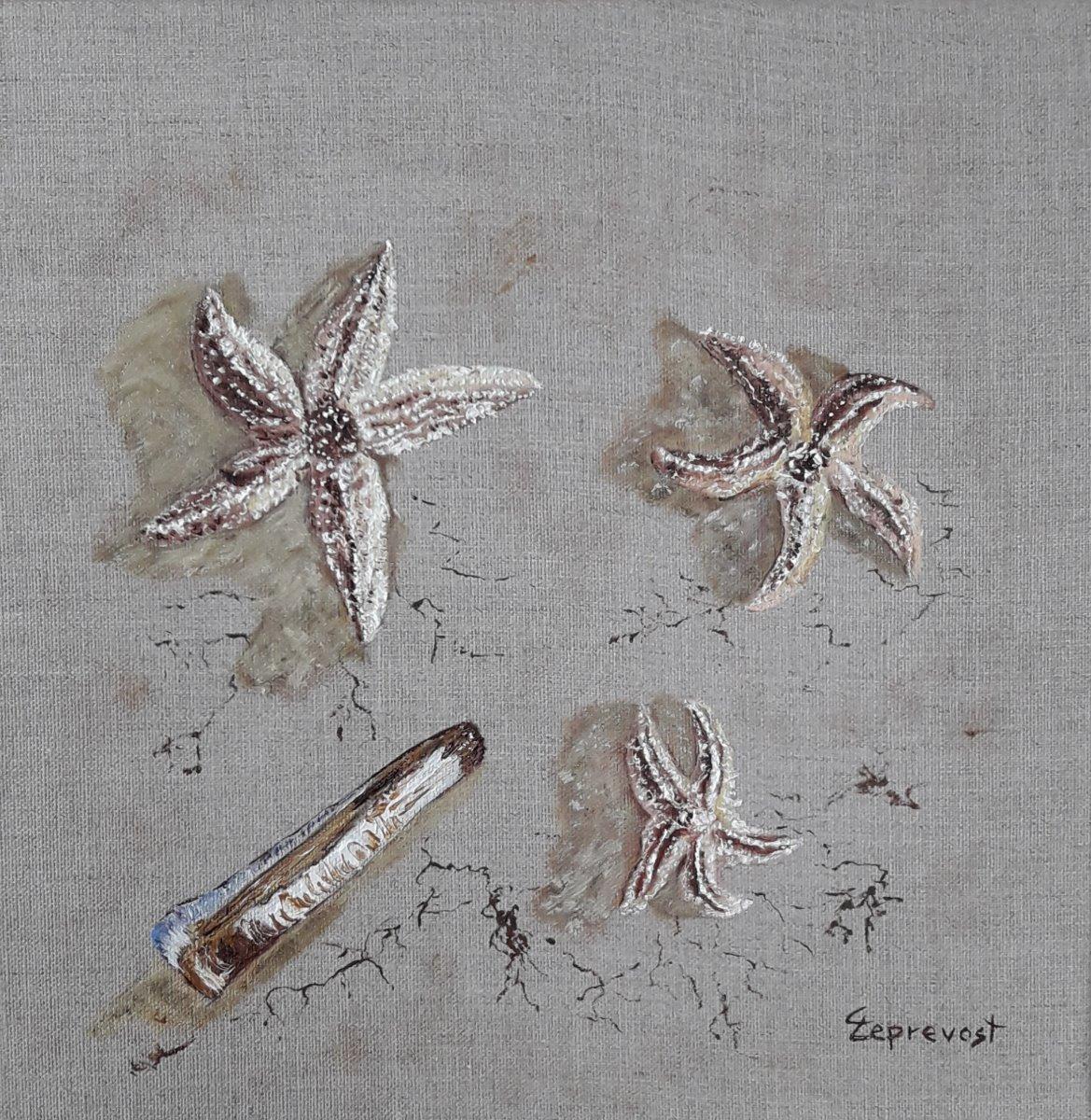 ETOILES DE MER ET COUTEAU (30X30)