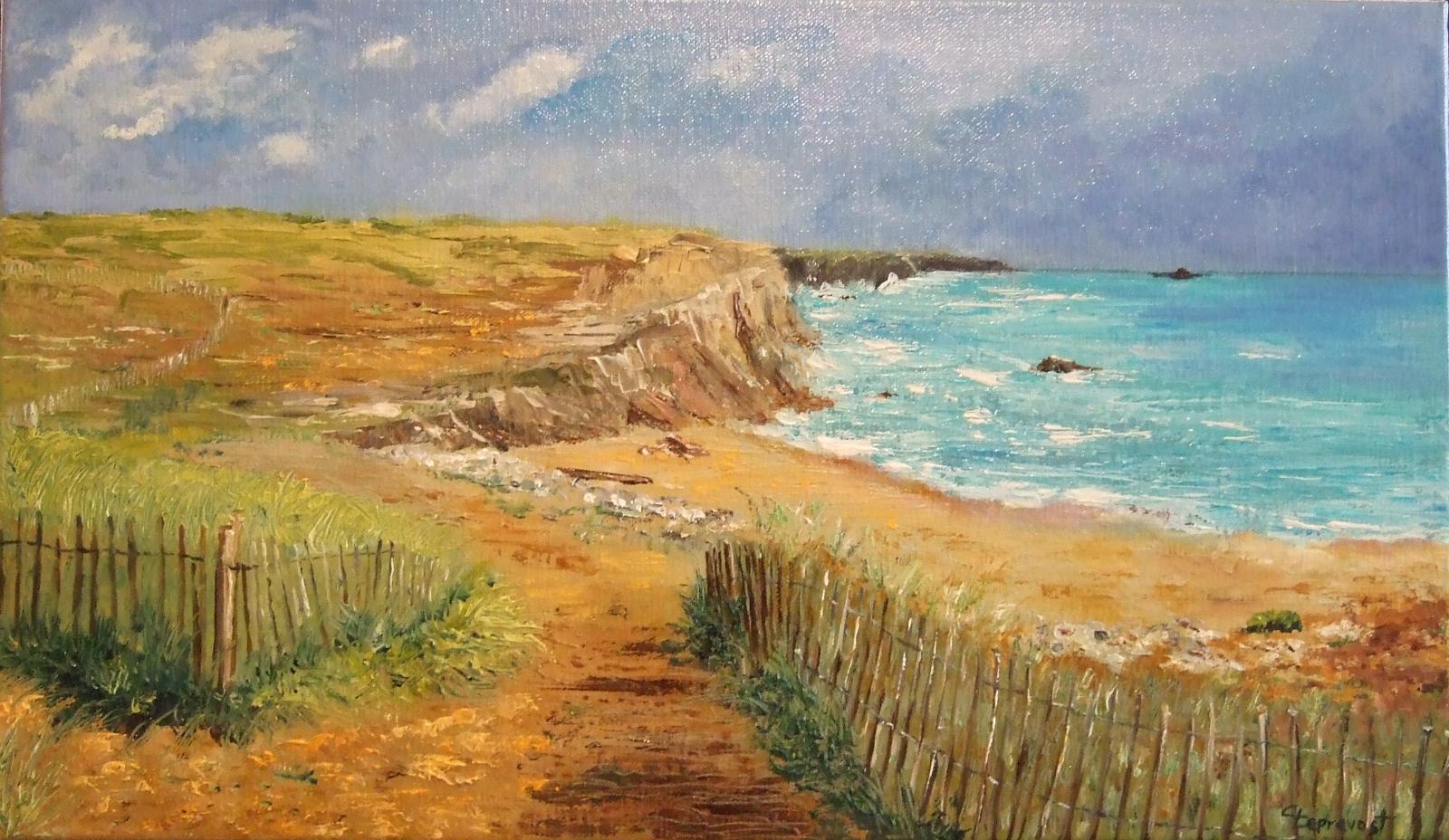 COTE SAUVAGE DE BRETAGNE (QUIBERON) - 46X27