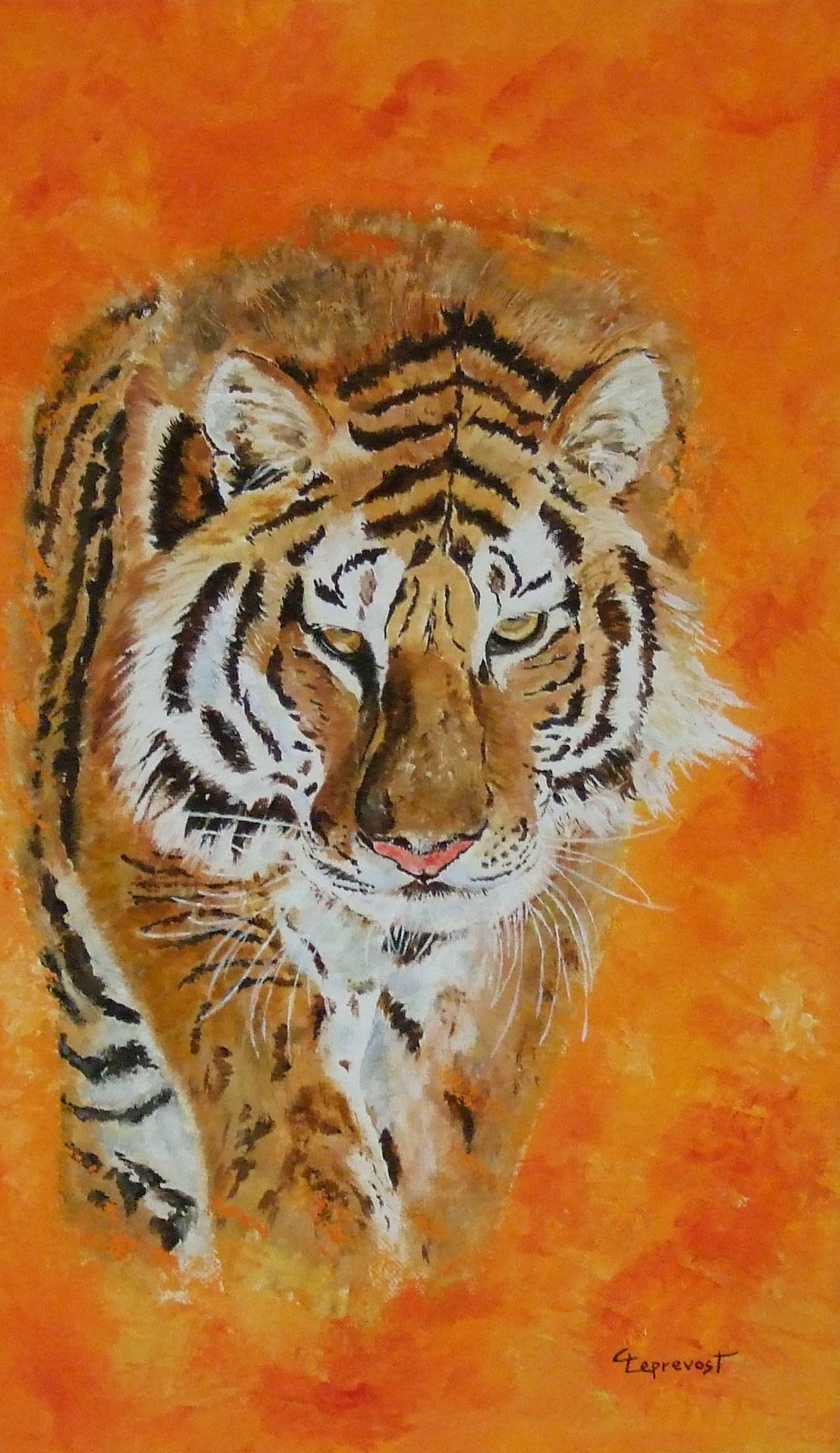 AVANCEE DU TIGRE (46X27)