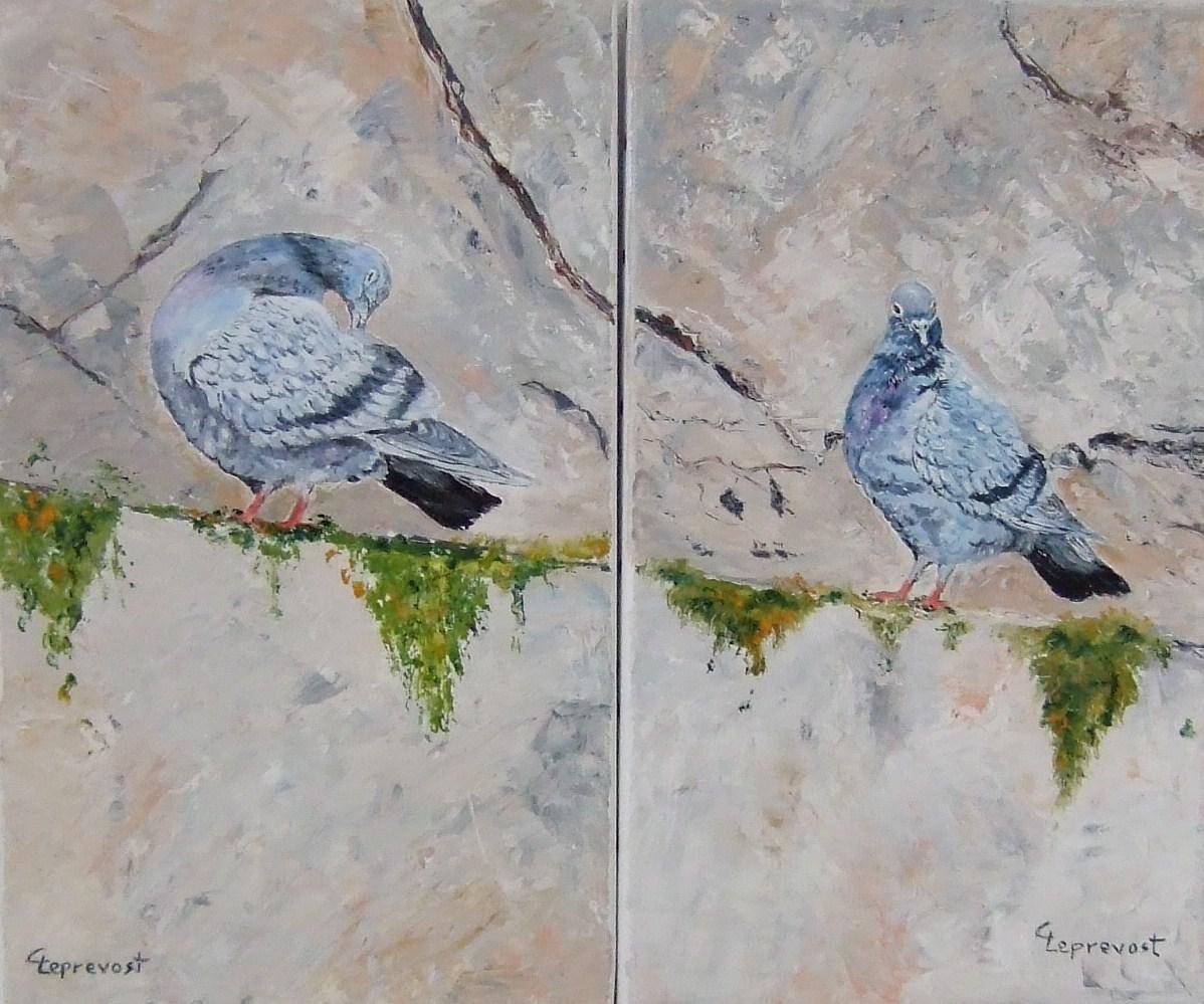 PIGEONS SUR UN MUR (DIPTYQUE) (2x 41X24)