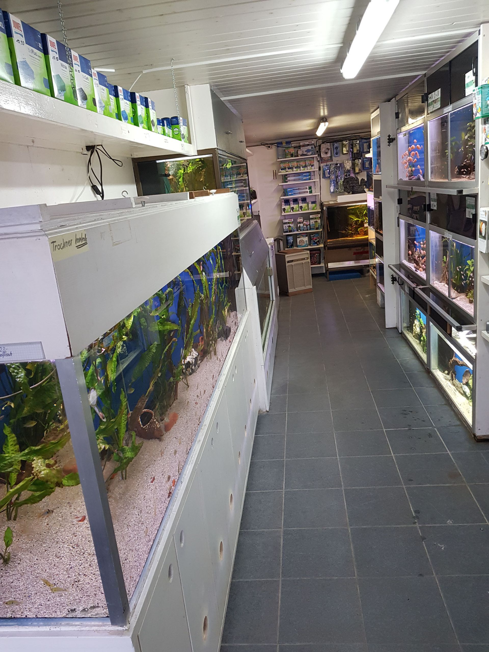 Fischzucht - Aquaristik Utzinger in Affeltrangen