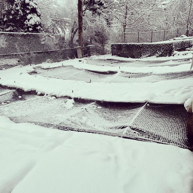 Ein Schwarzweißfoto einer verschneiten Gegend