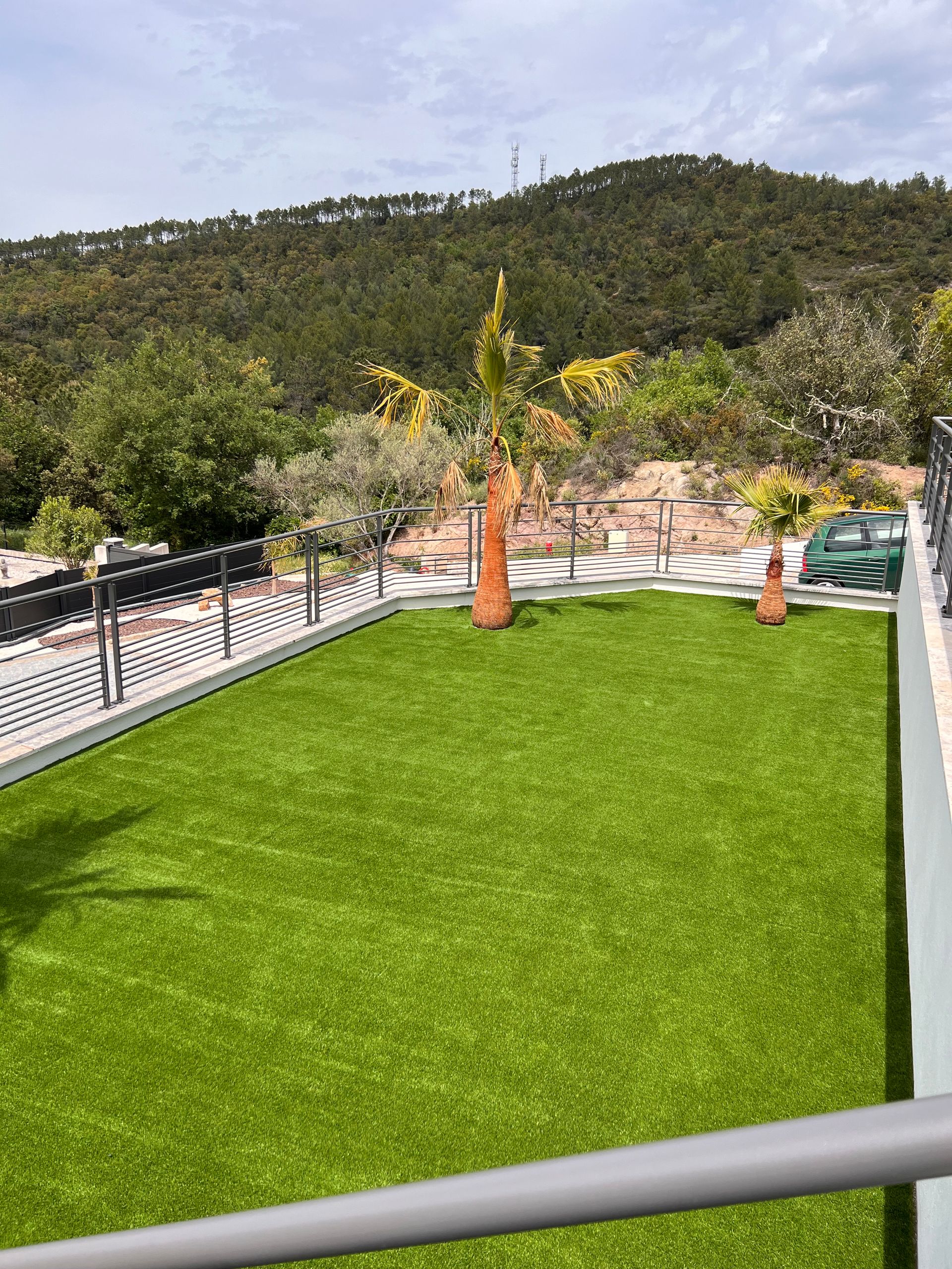 Un jardin recouvert de gazon synthétique avec deux palmiers