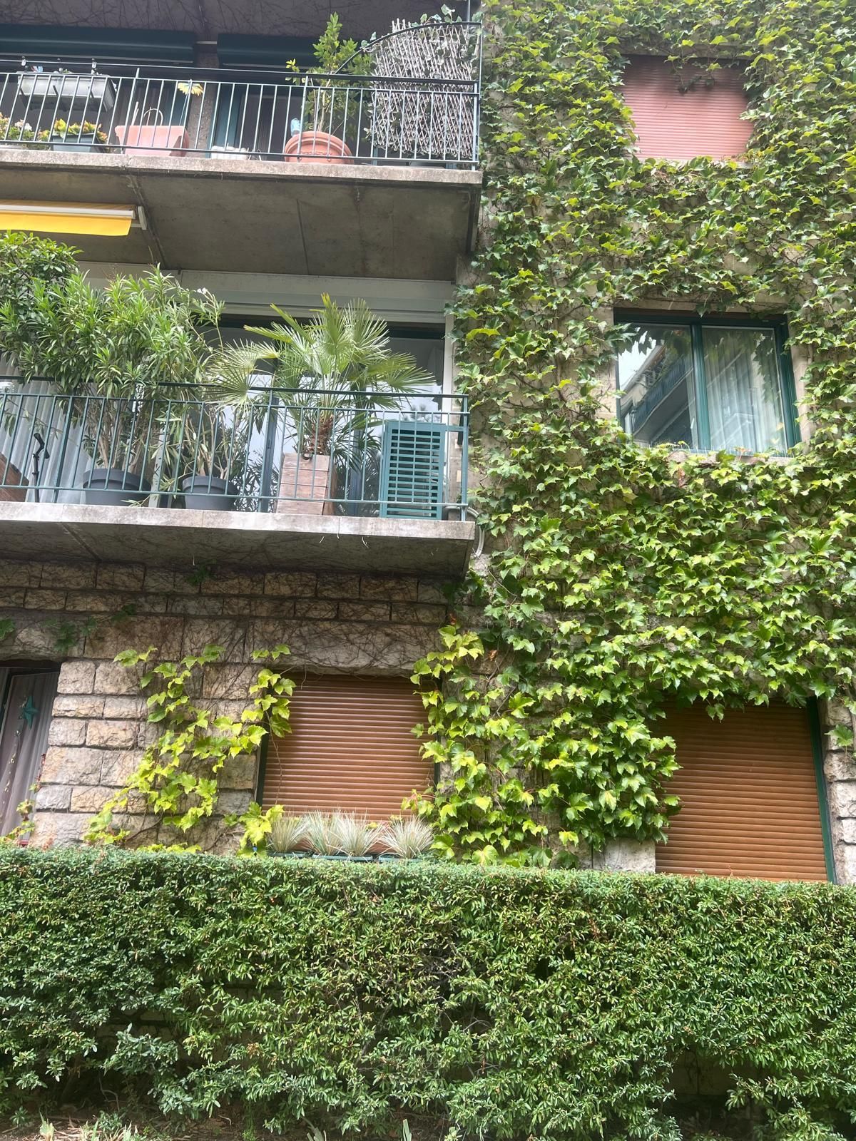 Façade d'immeuble recouverte de plantes.