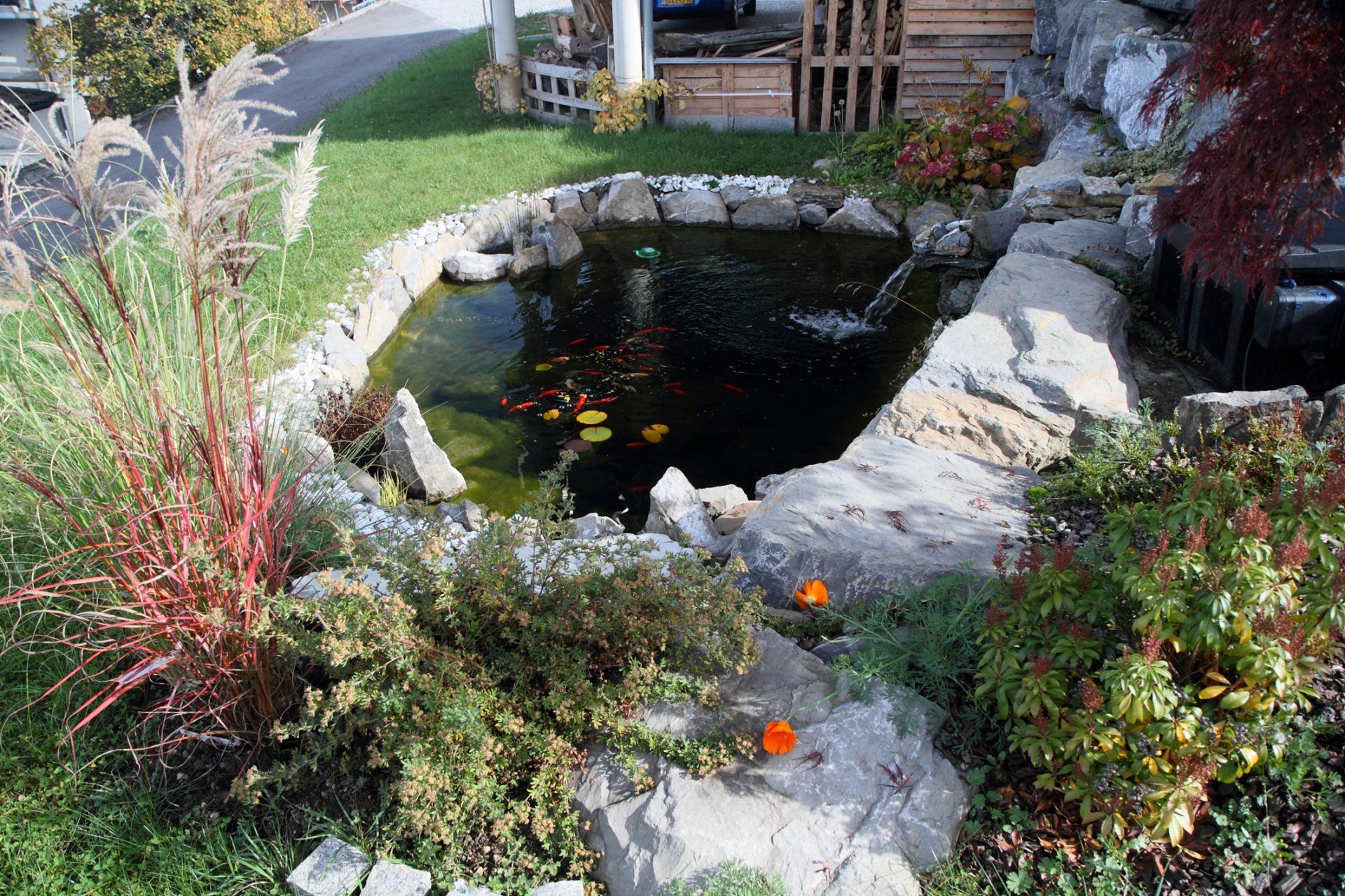 Bassin aquatique et aménagement extérieur