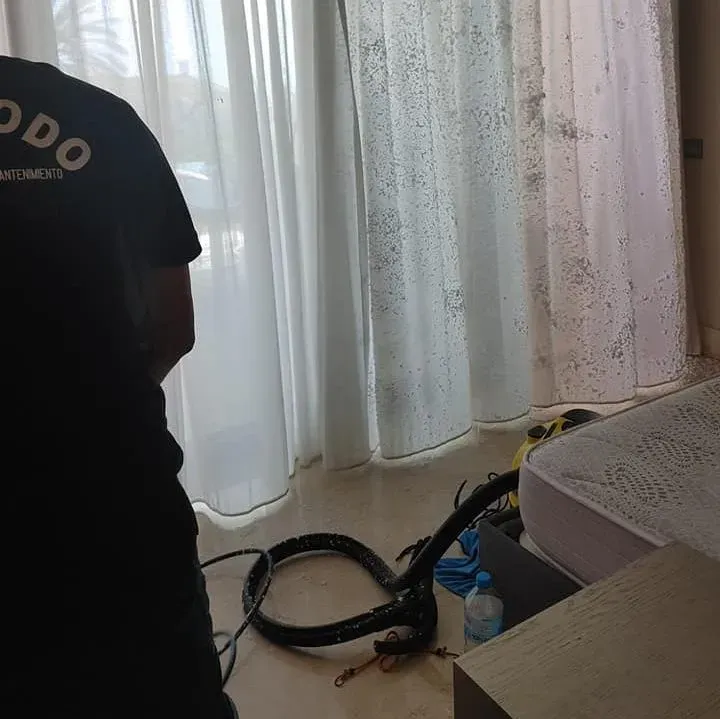 Un hombre que lleva una camisa negra con la palabra odo escrita en ella.