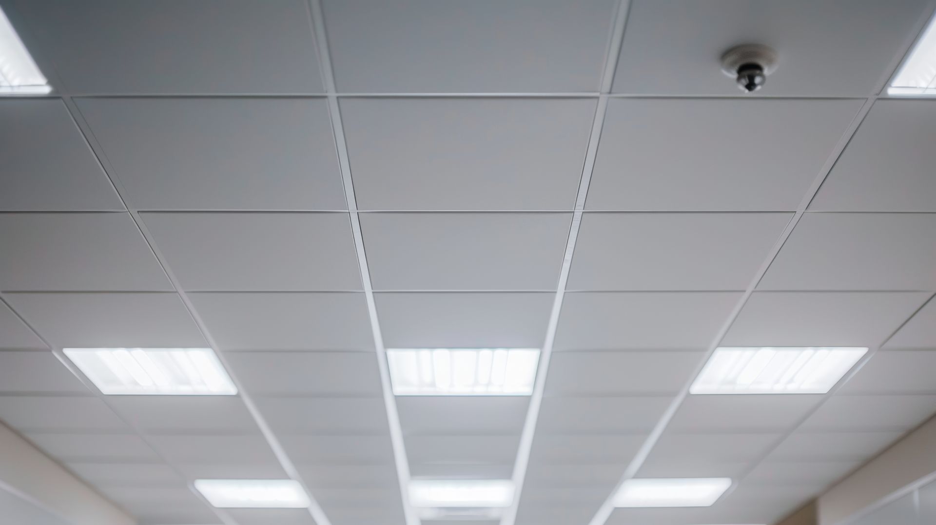 Des spots de lumière sur un faux plafond