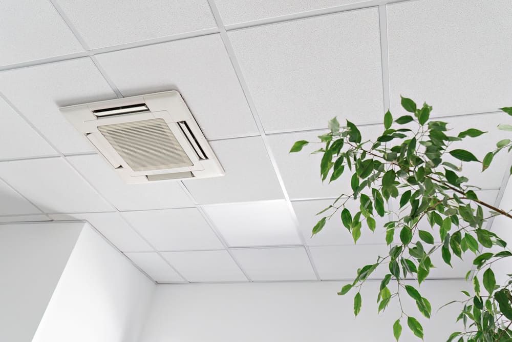 Plafond de bureau avec grille d'aération et branche de plante verte suspendue