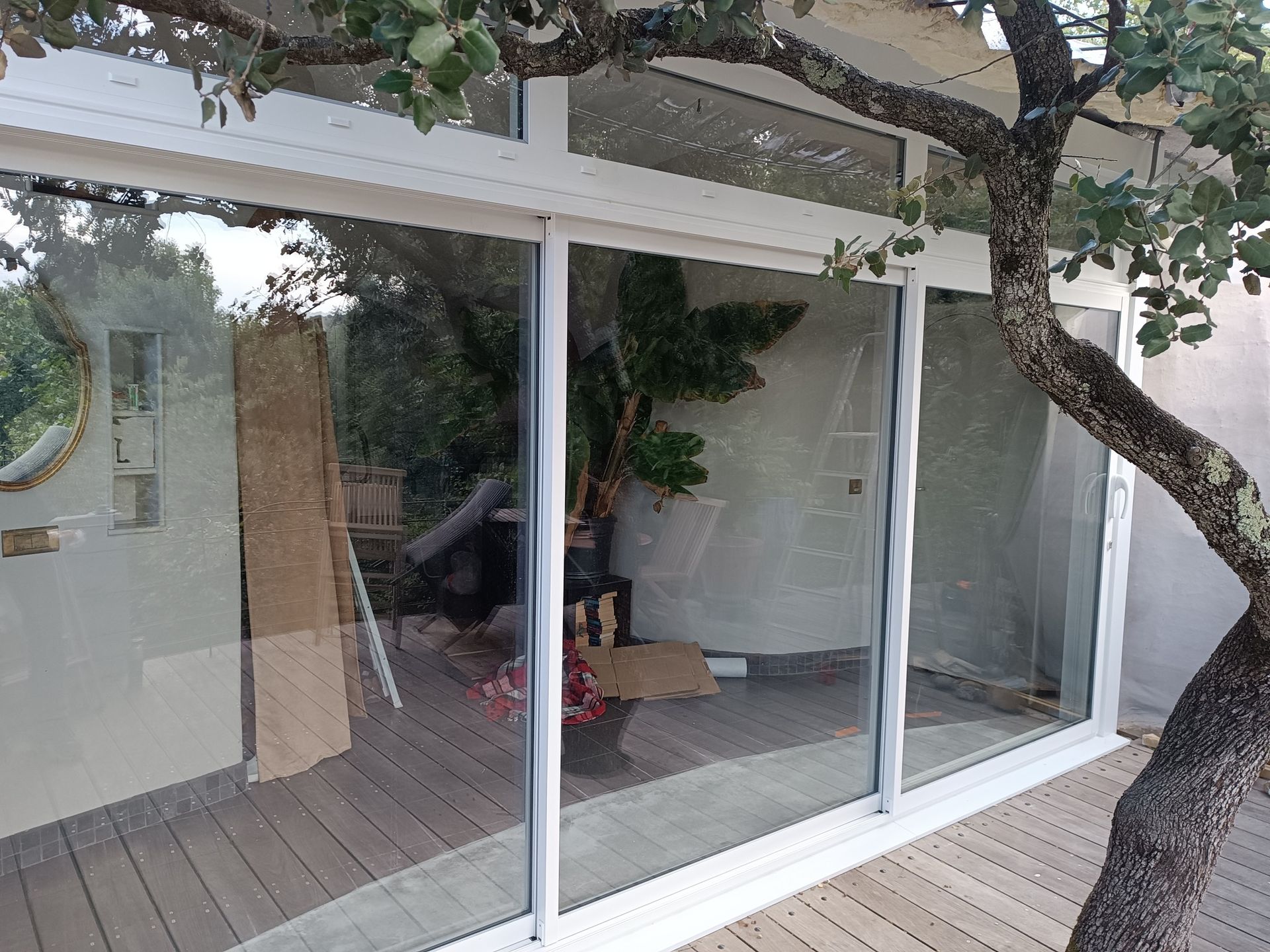 Grande baie vitrée blanche - arbre devant