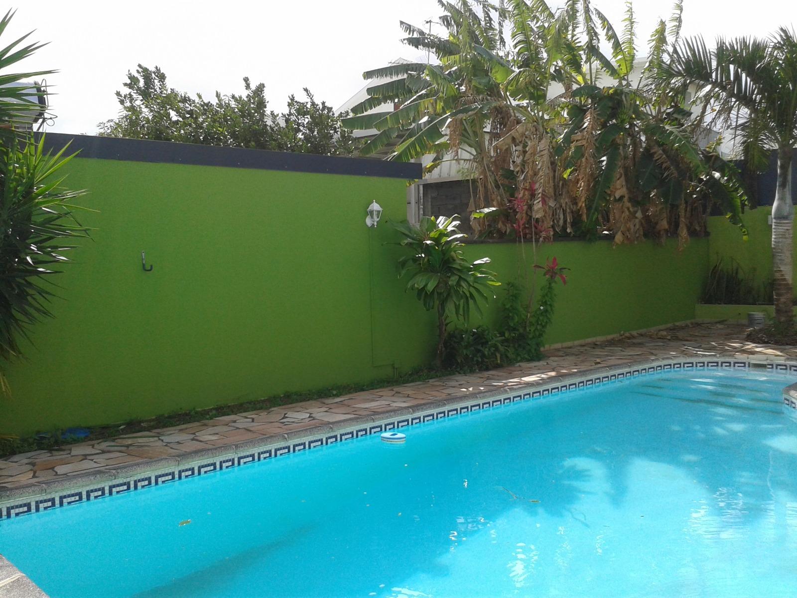 Peinture extérieure - Murs de clôture - Coin piscine 5