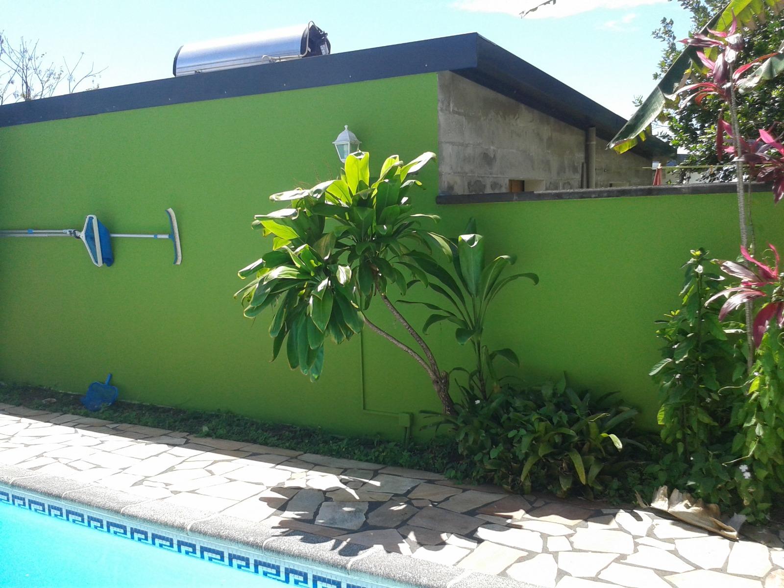 Peinture extérieure - Murs de clôture - Coin piscine 2
