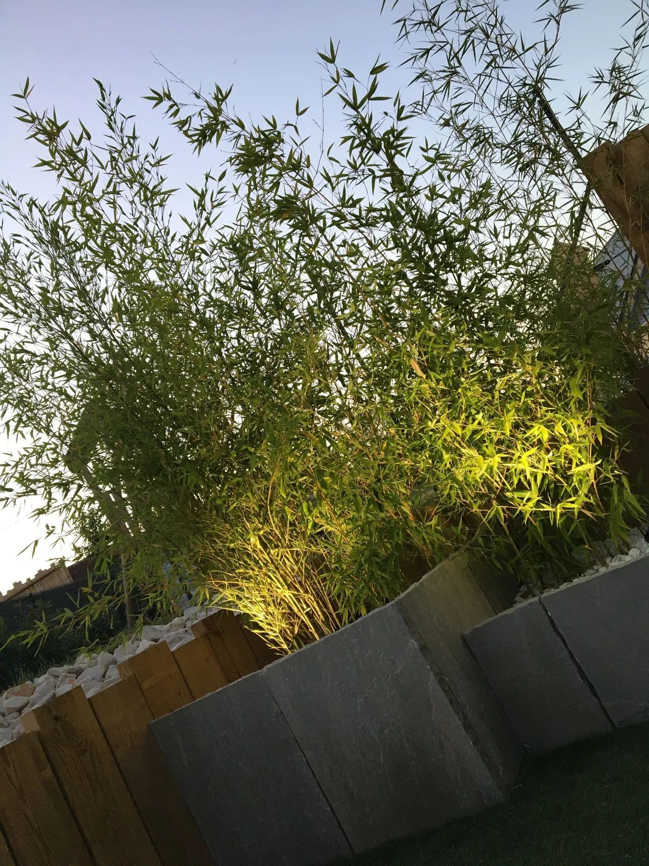 Éclairage de plantes