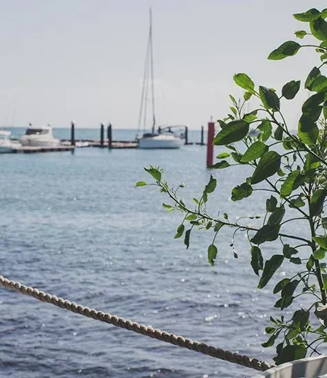 Barcos atracados en un muelle en un día soleado con follaje verde en primer plano.