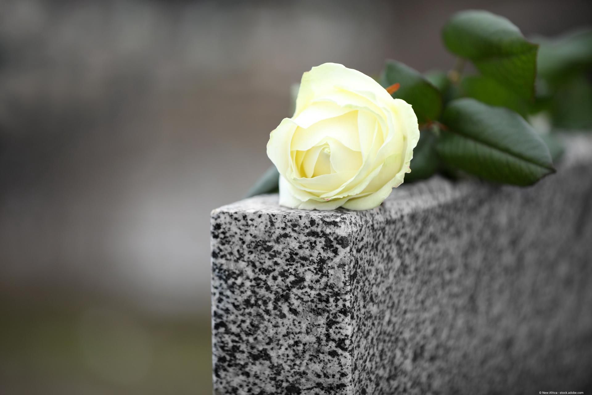 Weiße Rose auf Stein – Symbol für Erinnerung und Ruhe