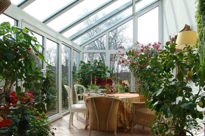 Heller Wintergarten mit grünen Pflanzen