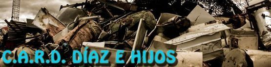 Un grupo de soldados están parados uno al lado del otro con las palabras caro diaz e hijos en azul