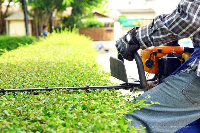 Eine Person schneidet in einem sonnigen Garten eine Hecke mit einer orangefarbenen elektrischen Heckenschere.