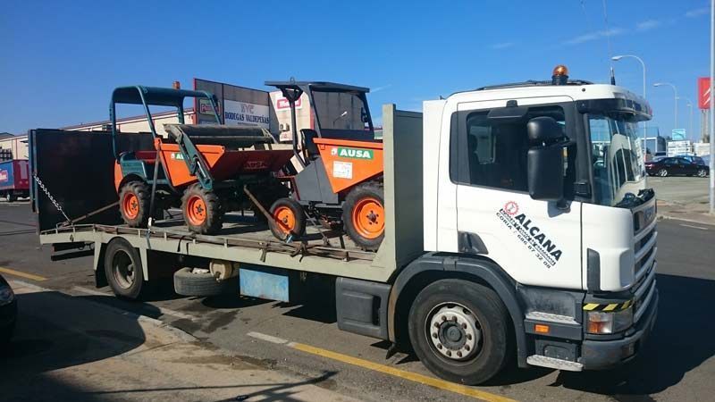 Un camión blanco transporta un montón de camiones de volteo en un remolque de plataforma.