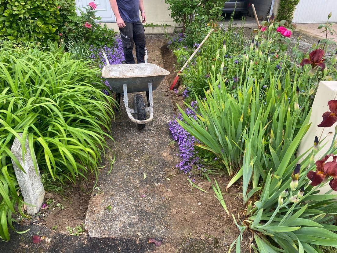 Une allée de jardin avec une brouette