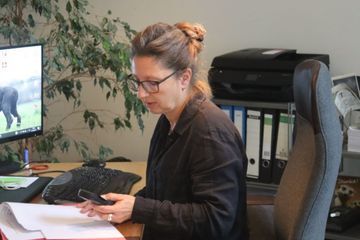 Eine Reihe von Säulen