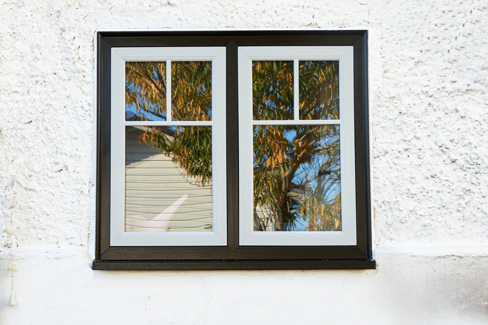 A window on a white wall with a tree reflected in the window.