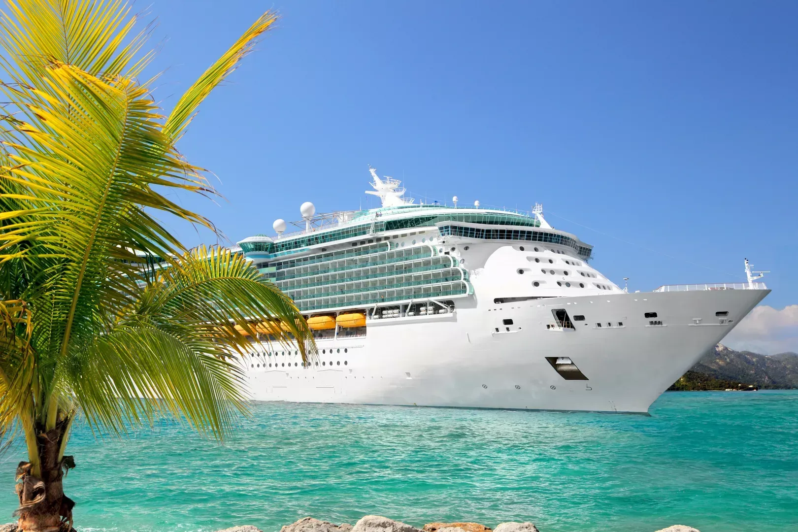 Weißes Kreuzfahrtschiff vor einer tropischen Küste mit türkisfarbenem Wasser und Palmenwedeln im Vordergrund