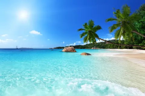 Türkisfarbenes Wasser umspült einen sandigen Strand mit Palmen unter einem strahlend blauen Himmel.
