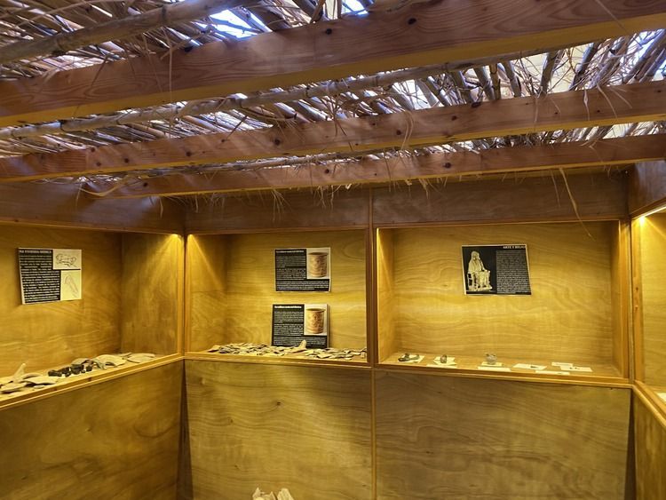 Una habitación con paredes y estantes de madera y un techo de madera.