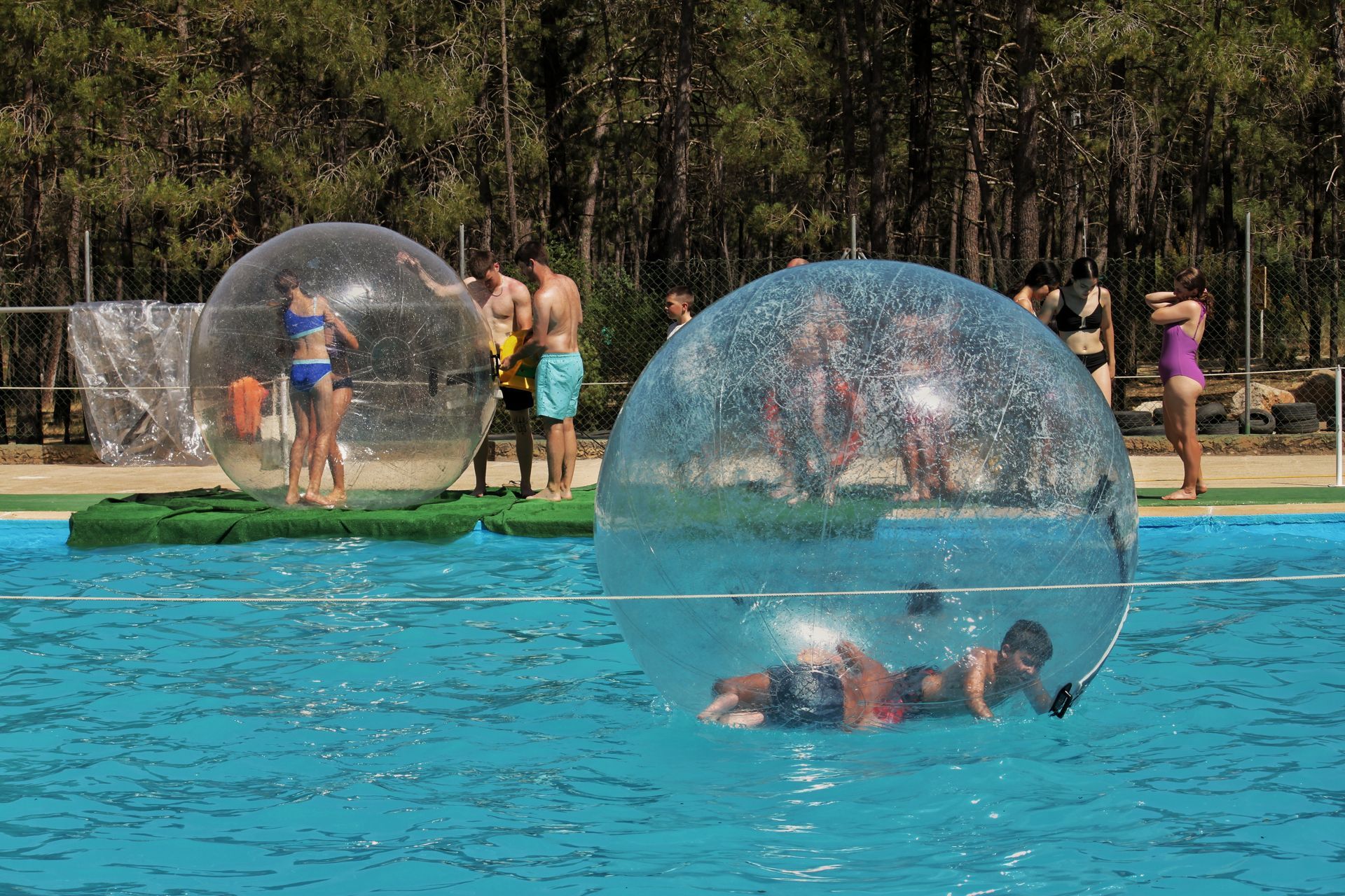 Hay personas que ruedan dentro de enormes bolas inflables transparentes en una piscina azul