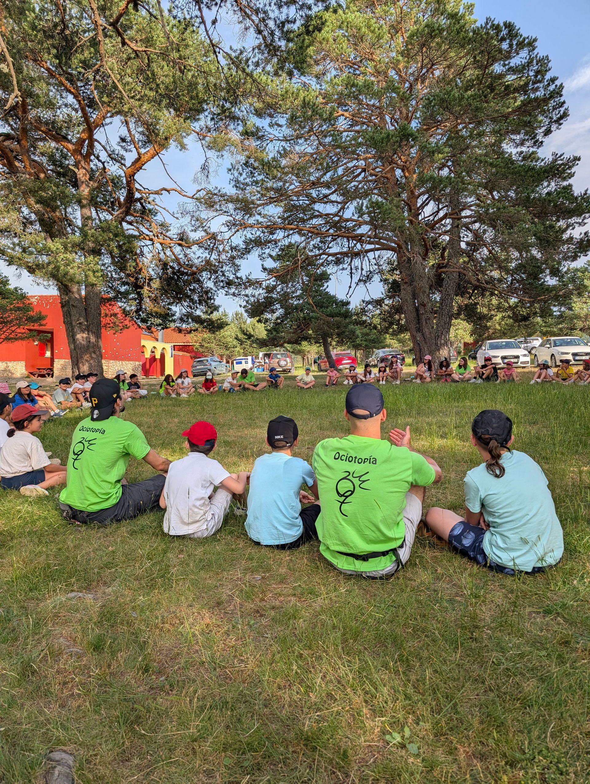 Niños con camisetas verdes están sentados en el césped bajo los árboles, observando un evento al aire libre