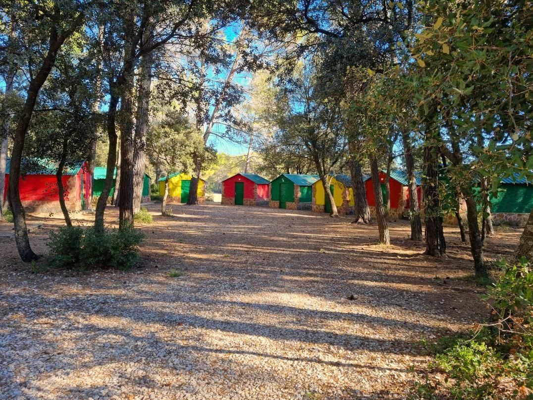 Sendero soleado en el bosque, bordeado de coloridas tiendas de campaña, con árboles altos que proyectan sombras