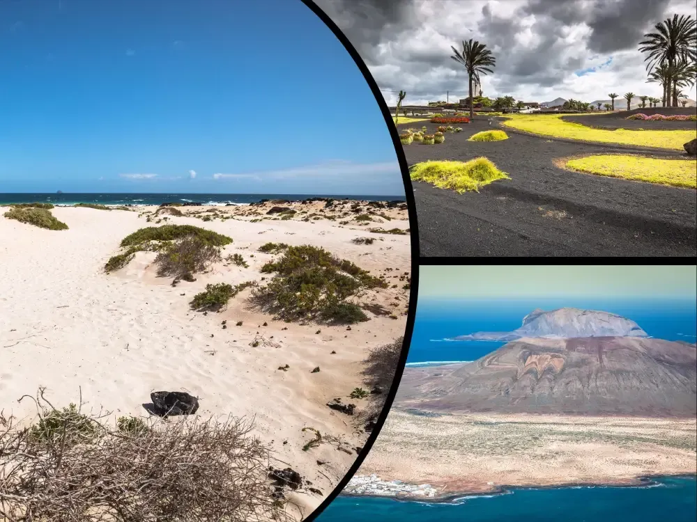 Un collage que muestra una playa de arena, un paisaje con tierra volcánica negra y plantas de color verde brillante, y una vista aérea de una costa.