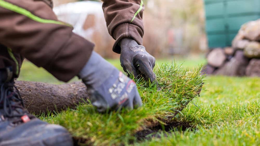 Eine Person legt eine Grasrolle auf einen Rasen.