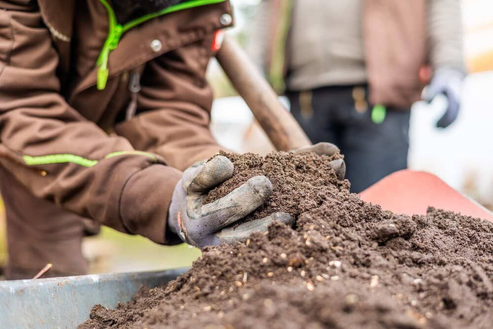 Eine Person hält eine Schaufel über einen Erdhaufen.