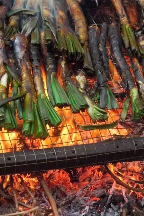 Un montón de verduras se están cocinando en una parrilla sobre el fuego.
