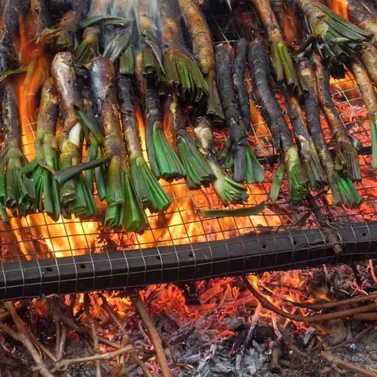 Un manojo de cebollas verdes se está cocinando en una parrilla.