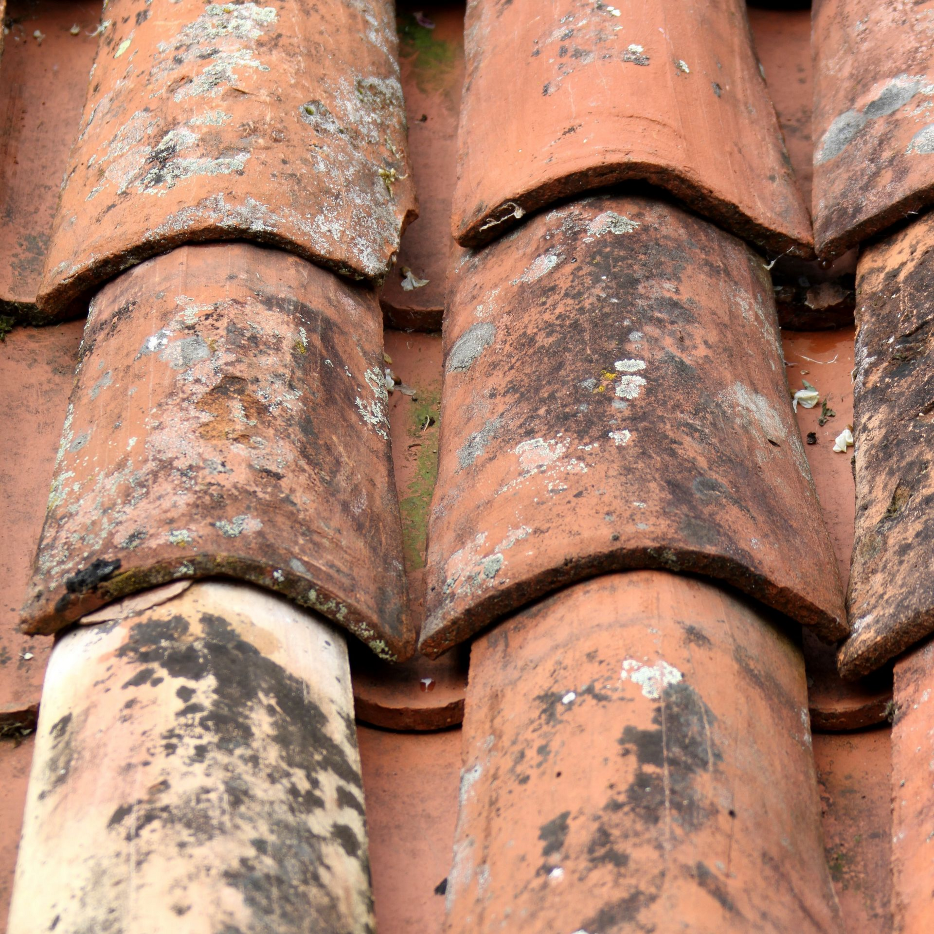 Gros plan sur des tuiles de toit en terre cuite usées par le temps, montrant les nervures et les signes de vieillissement et de décoloration.
