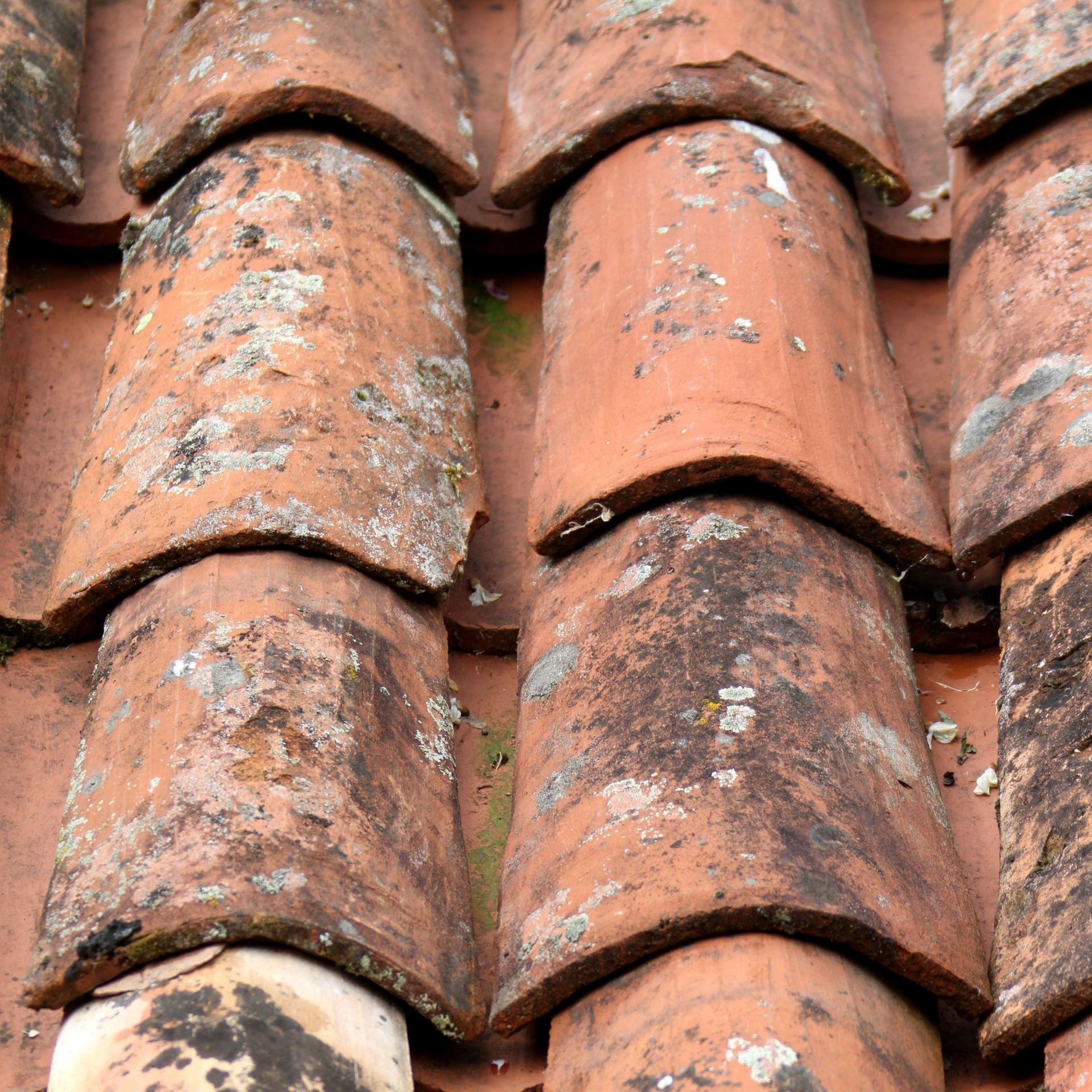 Tuiles de toit en terre cuite rouge, patinées et texturées, vues en gros plan et en diagonale.