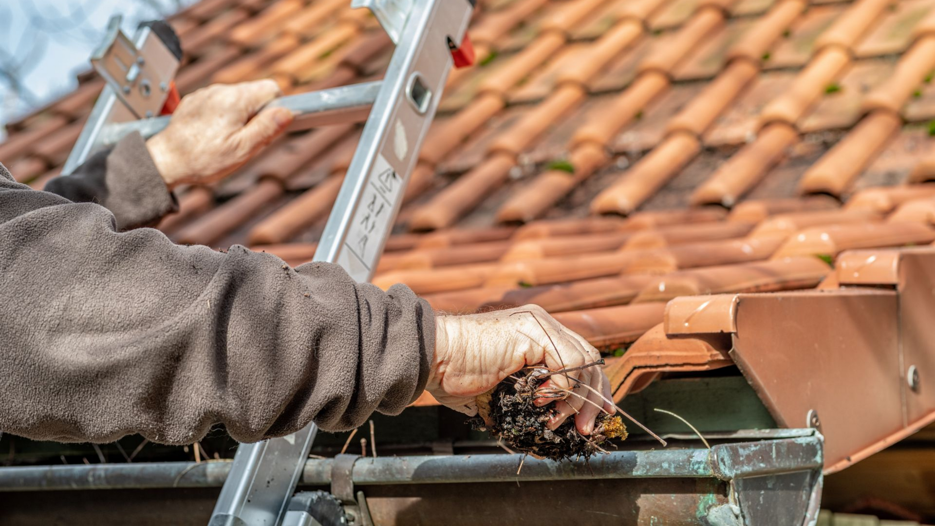 Une personne sur une échelle nettoie des feuilles d'une gouttière sur un toit de tuiles.